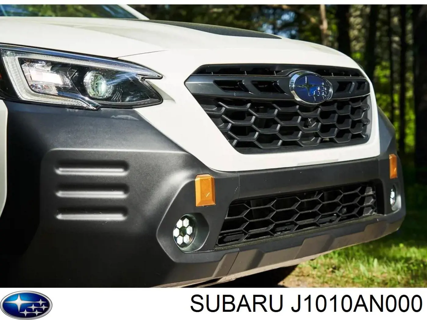 J1010AN000 Subaru 