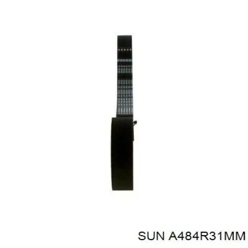 A484R31MM SUN Ремінь двигуна