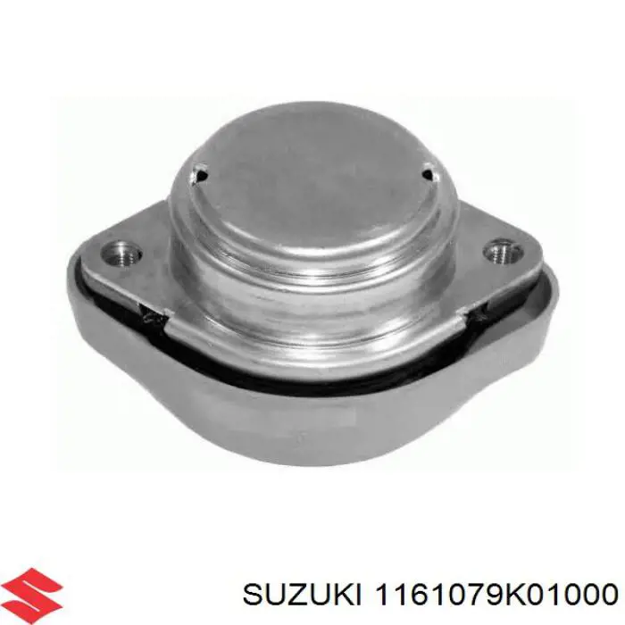  Suzuki 1161079K01 ціна, від 123.70 USD