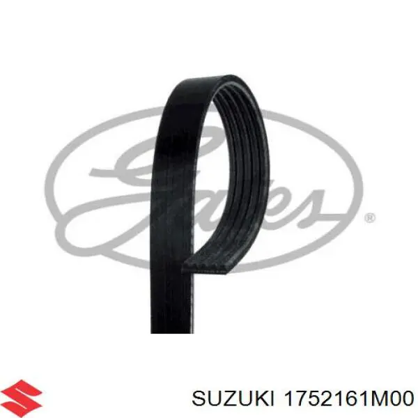 Клиновий ремінь Suzuki 1752161M00000 ціна, від 9.72 USD