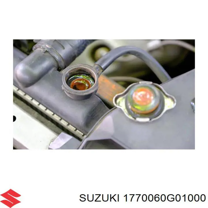 1770060G01000 Suzuki радіатор охолодження двигуна