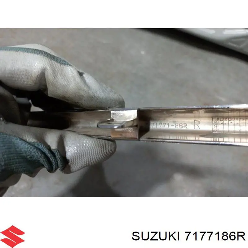  7177186R Suzuki