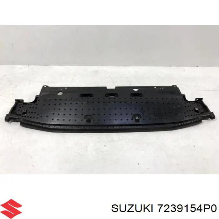 7239154P0 Suzuki 