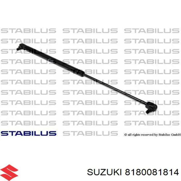 Купити 8180081814 Suzuki Амортизатор двері багажника