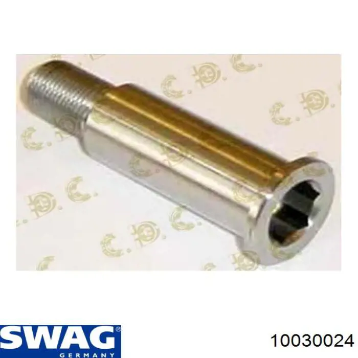 Купити 10030024 Swag Кронштейн натягувача приводного ременя