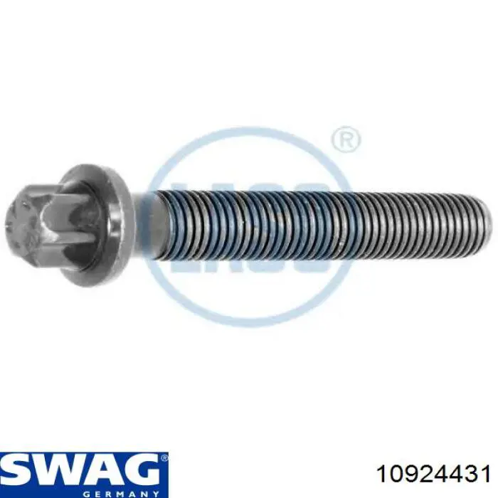 Купити 10924431 Swag Болт гбц