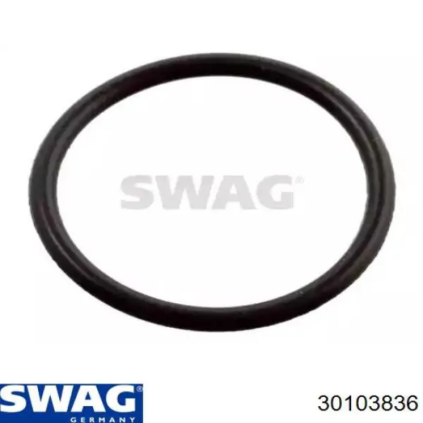30103836 Swag Кільце інжектора