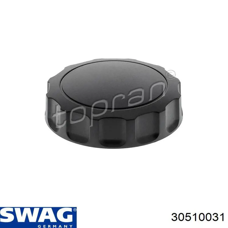 30510031 Swag Амортизатор кришки багажника / двері 3/5-ї задньої