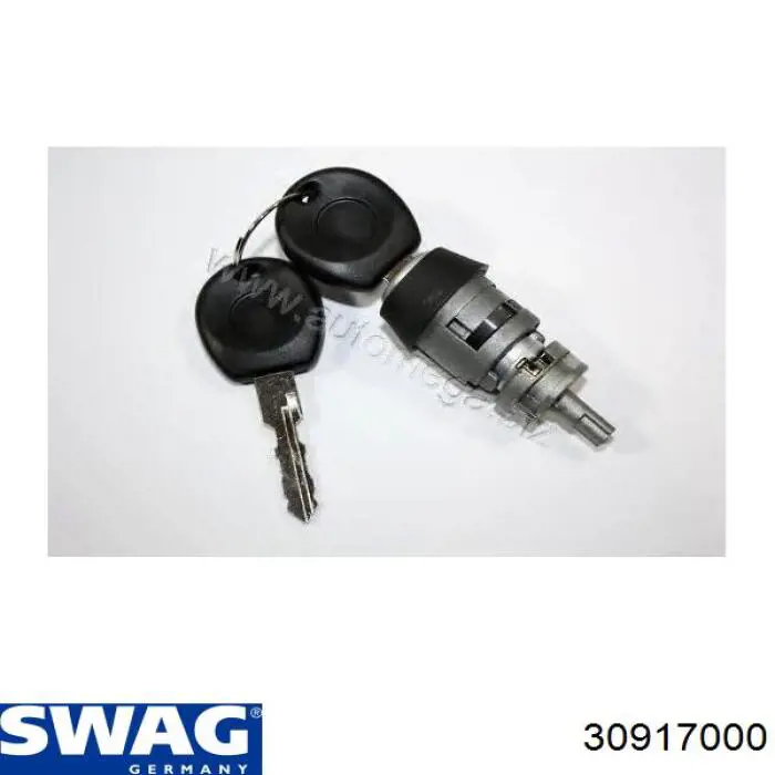 Личинка замка запалювання Swag 30917000 ціна, від 6.33 USD