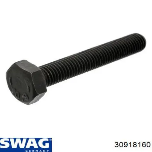 30918160 Swag Болт/гайка кріплення