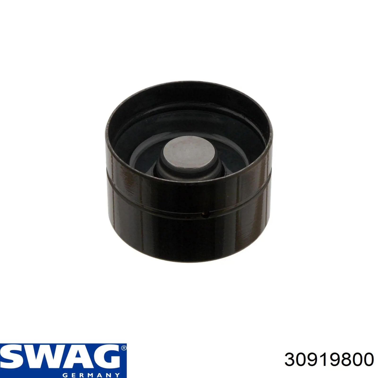 30919800 Swag Гідрокомпенсатор