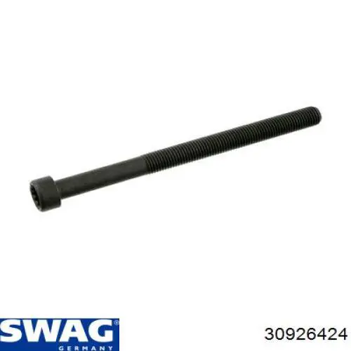 Купити 30926424 Swag Болт гбц