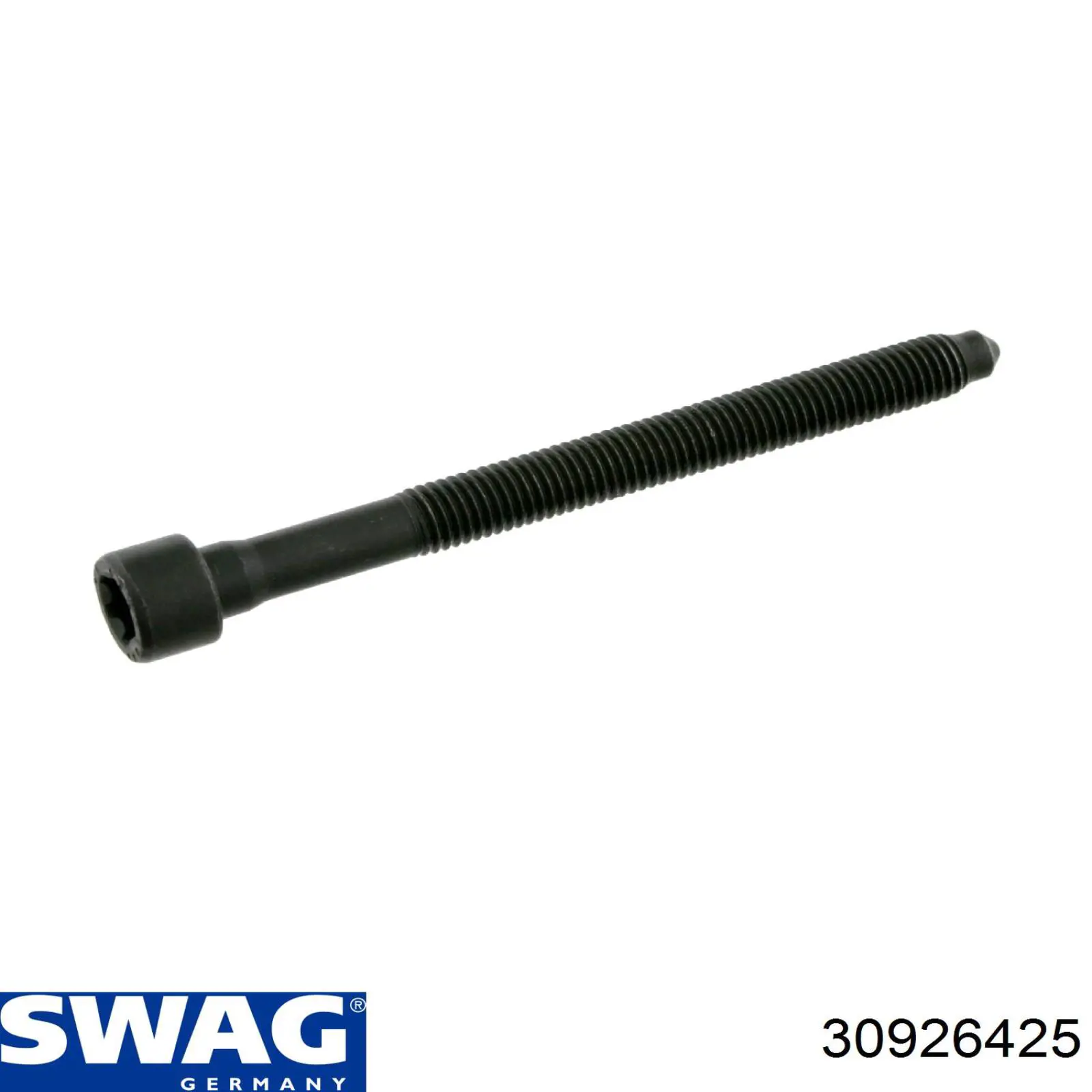 Купити 30926425 Swag Болт гбц