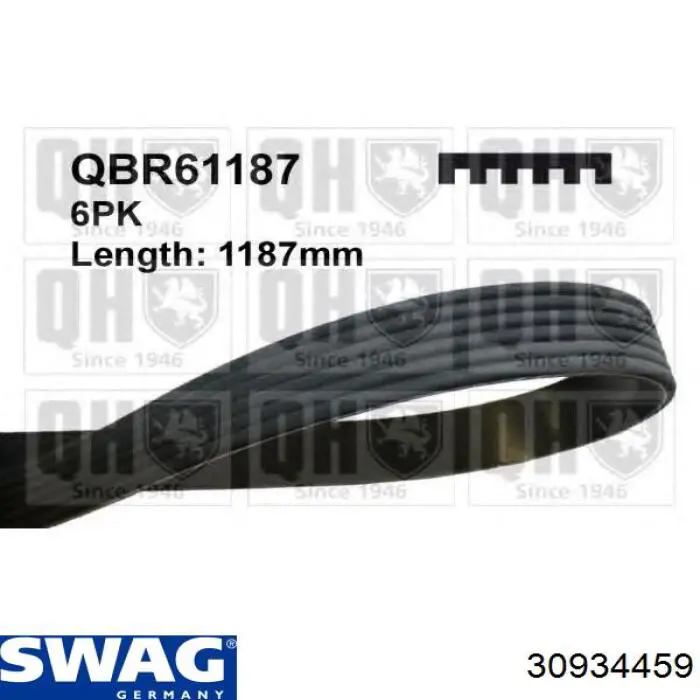Купити 30934459 Swag Ремінь генератора