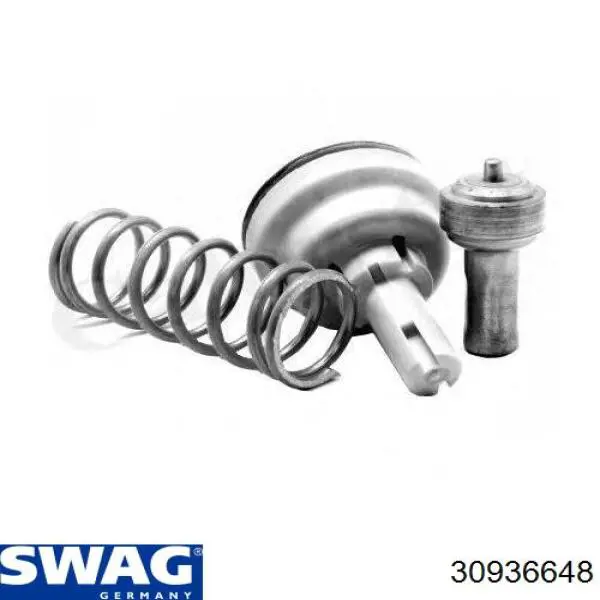 Купити 30936648 Swag Термостат в корпусі