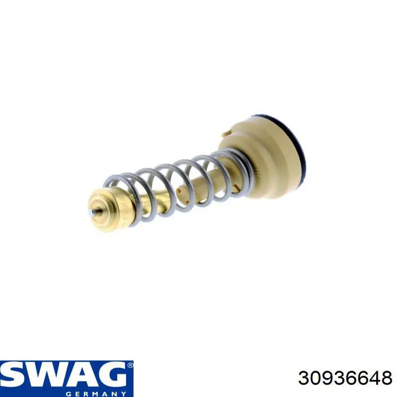 Термостат в зборі Swag 30936648