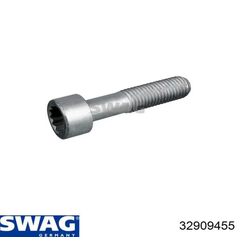 Купити 32909455 Swag Болт гбц