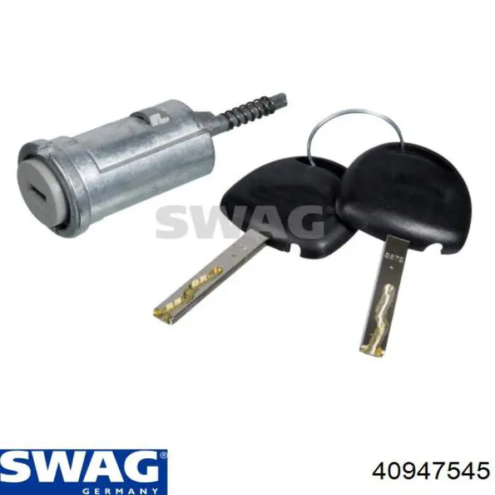Личинка замка запалювання Swag 40947545 ціна, від 28.81 USD