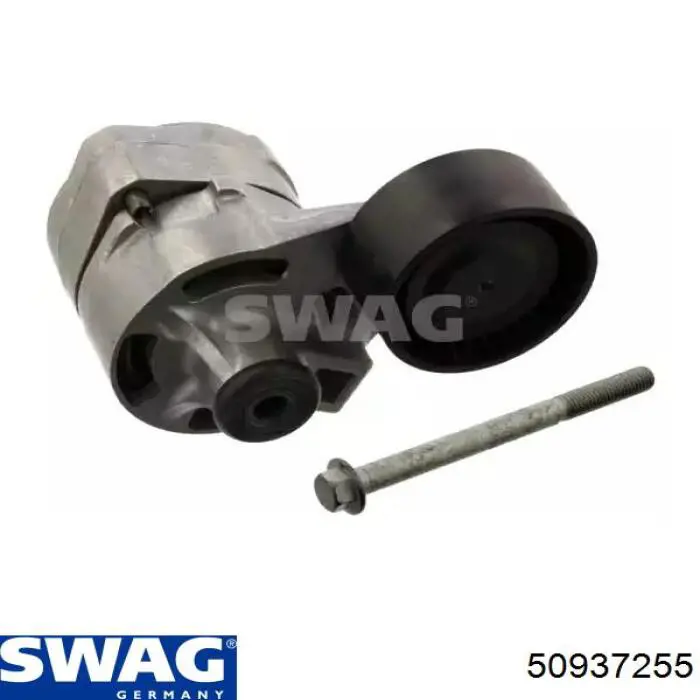 Купити 50937255 Swag Натягувач приводного ременя