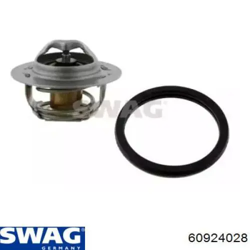 Термостат в зборі Swag 60924028