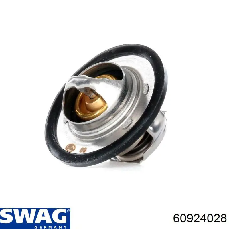 Купити 60924028 Swag Термостат в корпусі