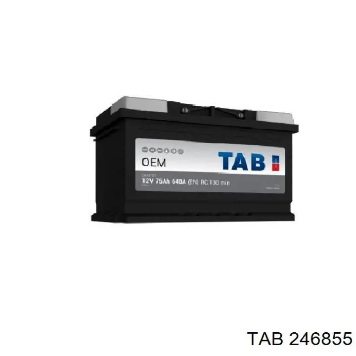  246855 TAB