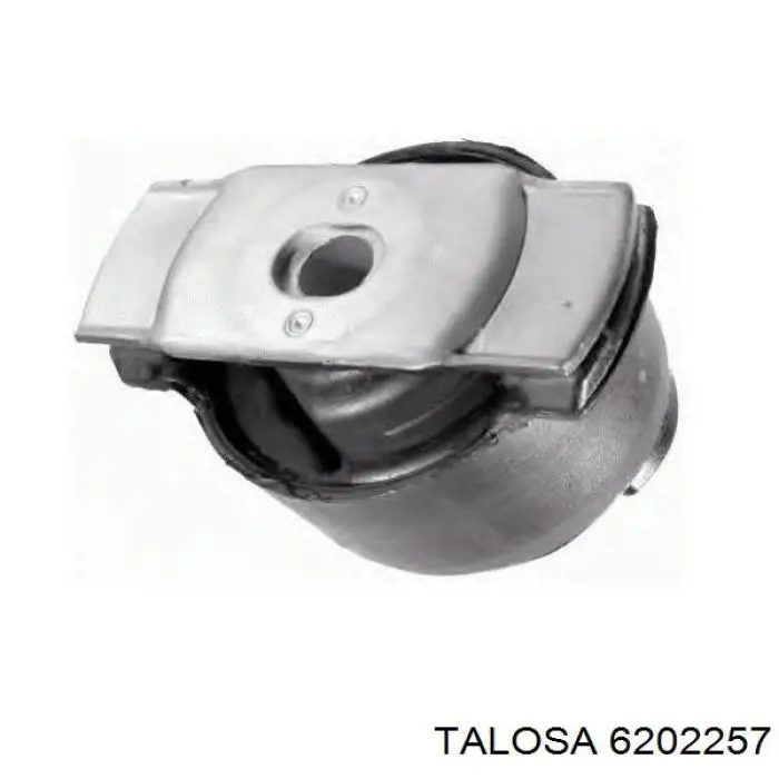 Сайлентблок задньої балки/підрамника Talosa 6202257 ціна, від 13.96 USD