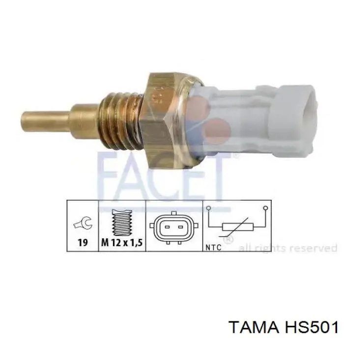 HS501 Tama Комплект прокладок двигуна, верхній