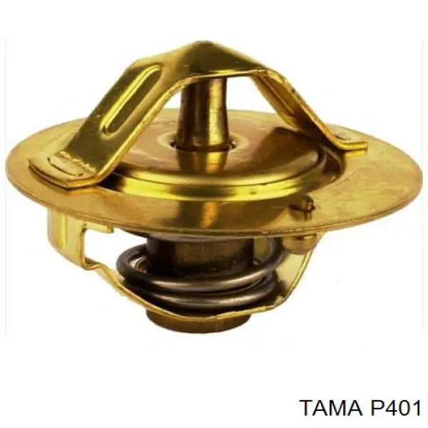 Купити P401 Tama Термостат в корпусі