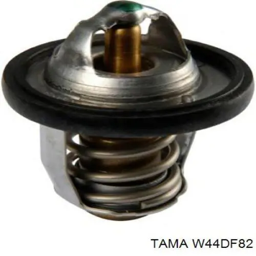 W44DF82 Tama термостат