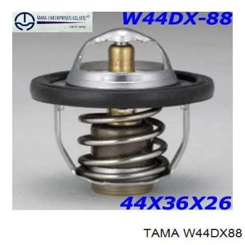 W44DX88 Tama термостат