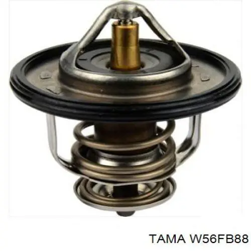 Термостат W56FB88 Tama