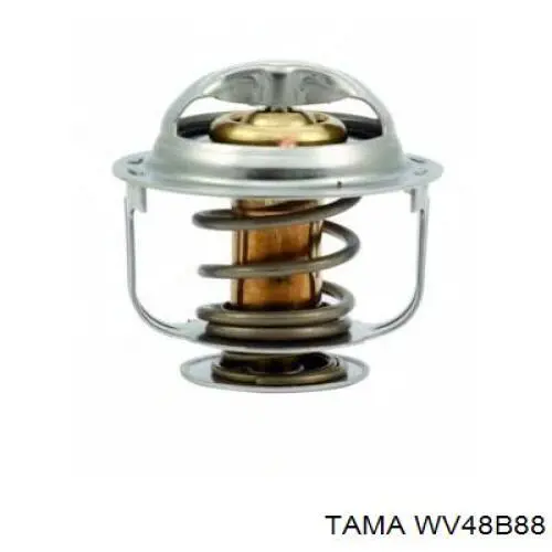 WV48B88 Tama Авто термостат