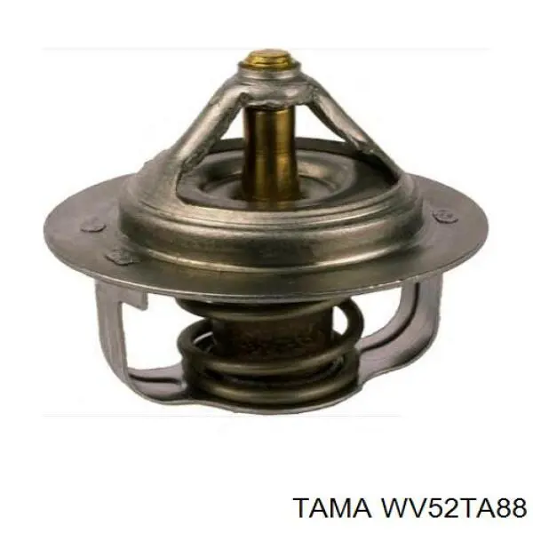 WV52TA88 Tama термостат