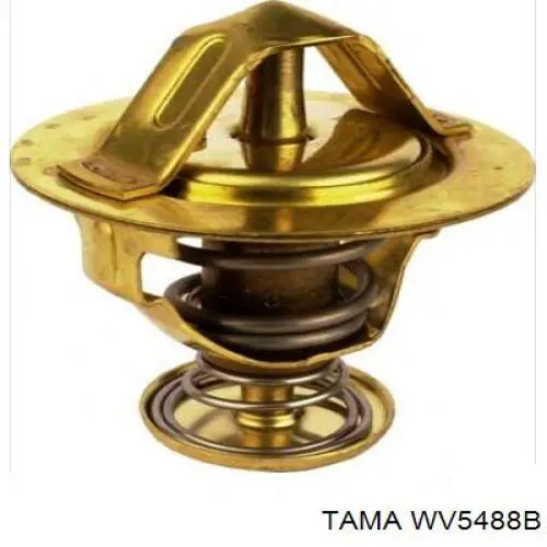 WV5488B Tama Авто термостат