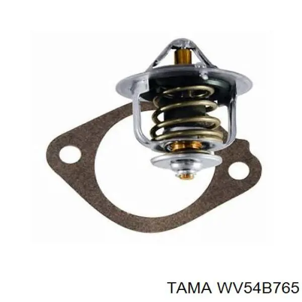 WV54B765 Tama термостат
