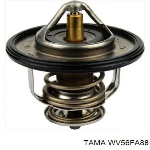 WV56FA88 Tama термостат