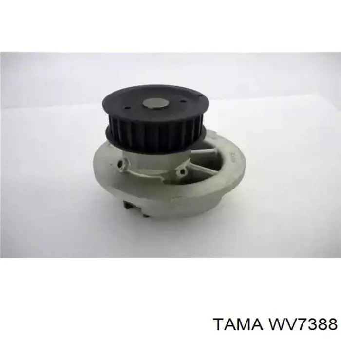 WV7388 Tama термостат
