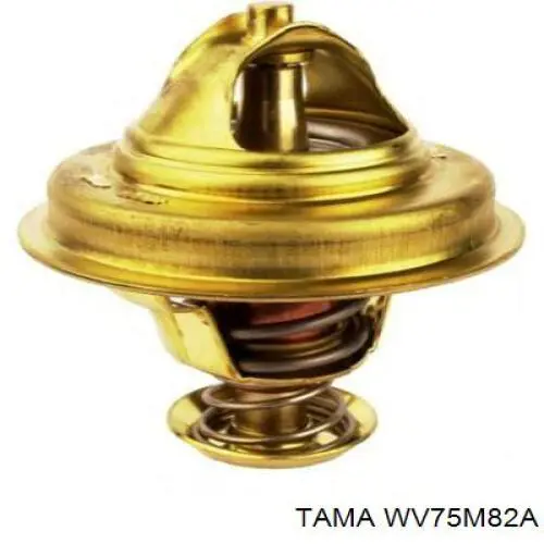 WV75M82A Tama Авто термостат