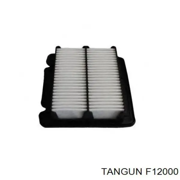 Повітряний фільтр F12000 Tangun