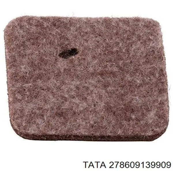 278609139909 Tata Повітряний фільтр двигуна