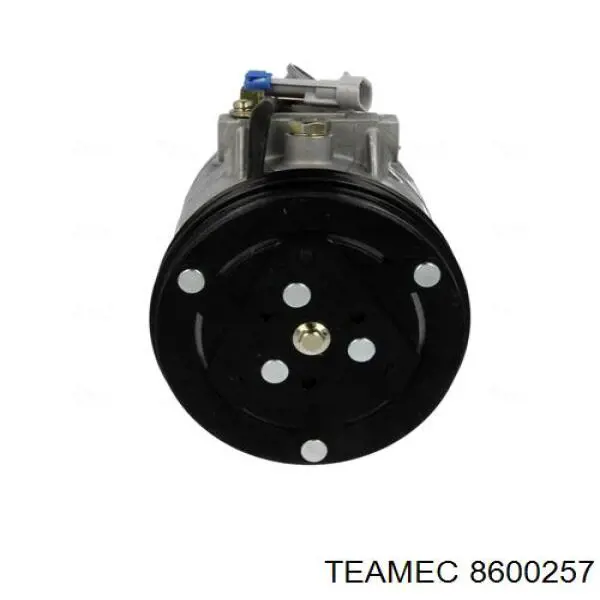Компресор системи кондиціювання Teamec 8600257 ціна, від 63.03 USD