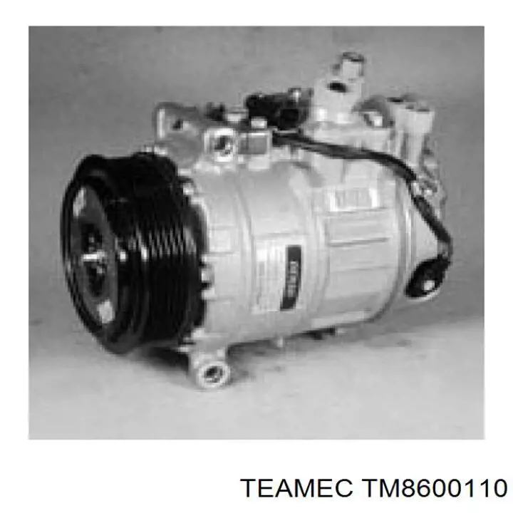 TM8600110 Teamec компресор кондиціонера