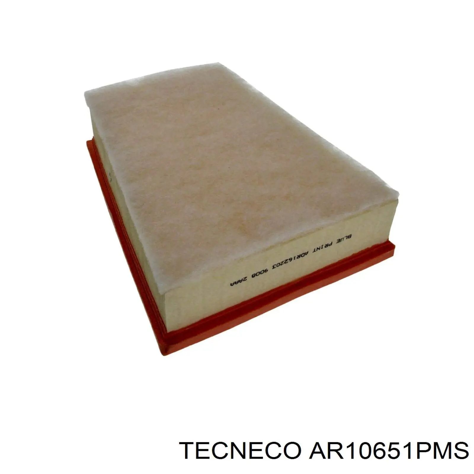 Купити AR10651PMS Tecneco Автомобільний фільтр повітря