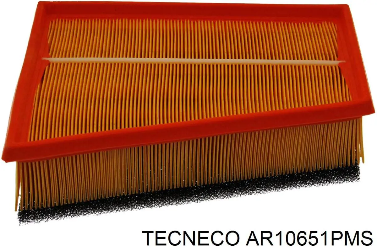 Елемент повітряного фільтра Tecneco AR10651PMS ціна, від 7.56 USD