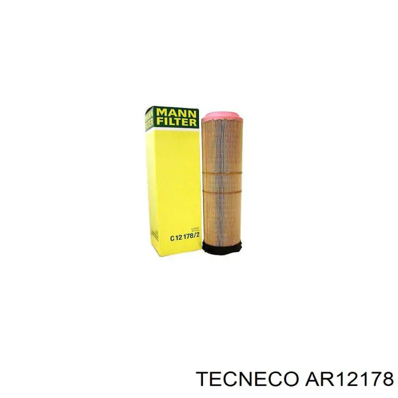Елемент повітряного фільтра Tecneco AR12178 ціна, від 14.00 USD