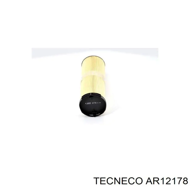 Купити AR12178 Tecneco Автомобільний фільтр повітря
