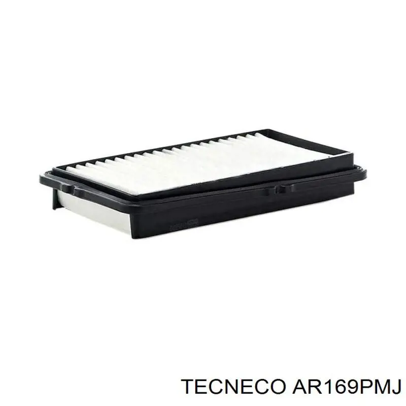 Повітряний фільтр AR169PMJ Tecneco
