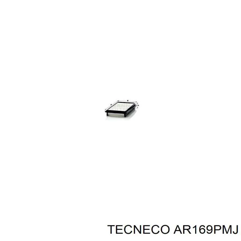Фільтр повітряний Tecneco AR169PMJ
