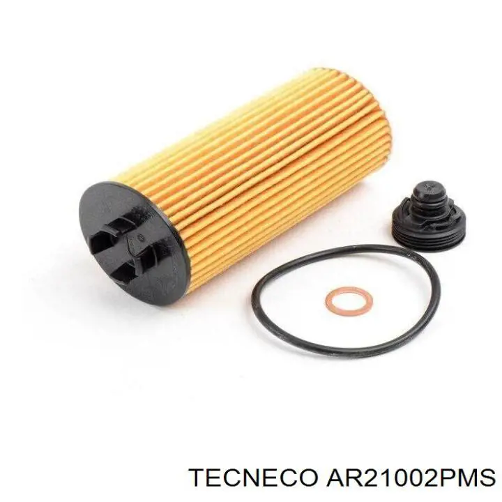 Повітряний фільтр AR21002PMS Tecneco